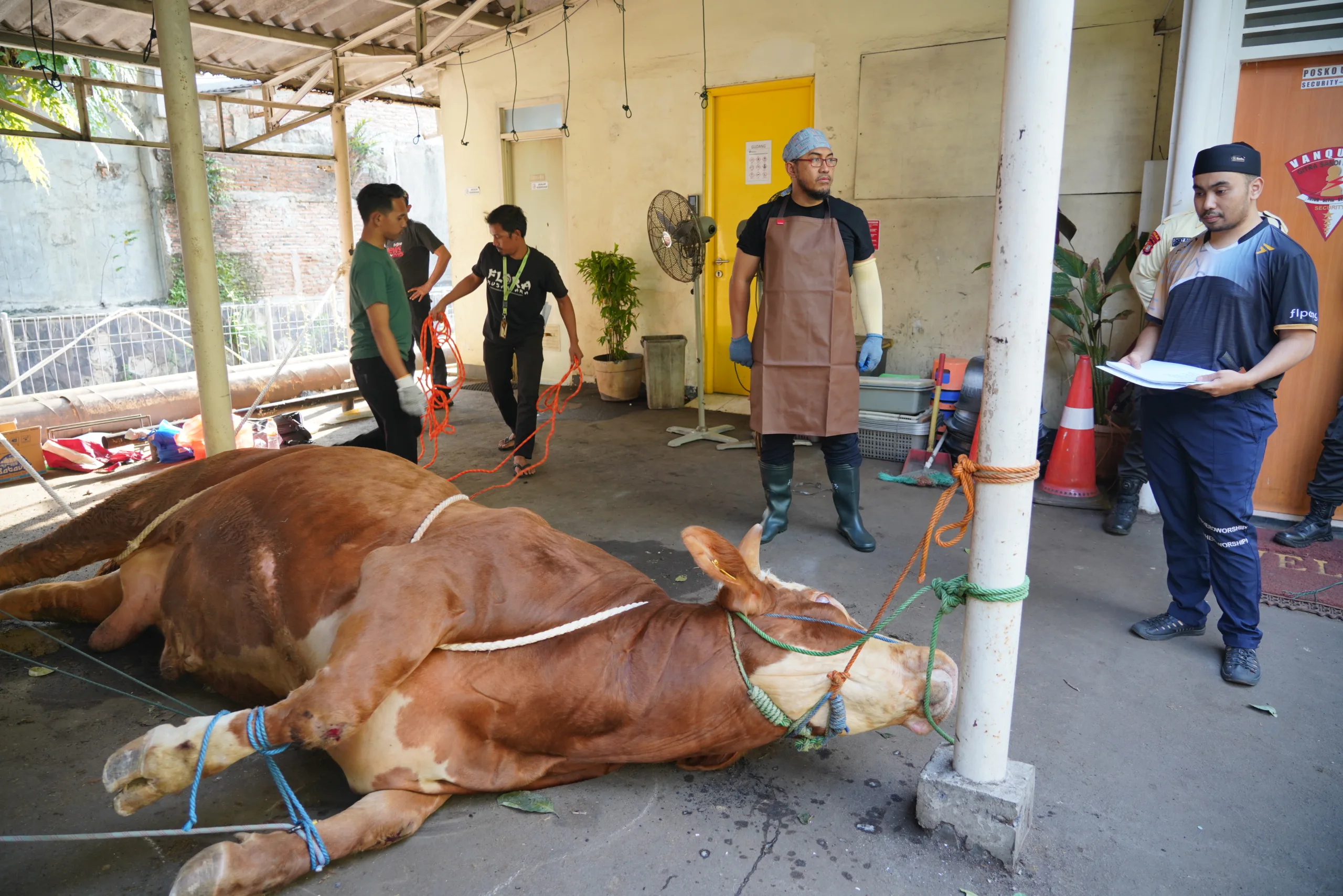 SPIRIT IDUL ADHA 1446 H, RSAB & RSJPD TEBAR KURBAN